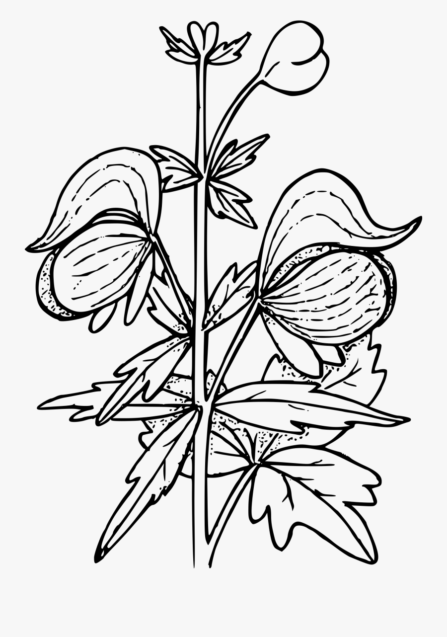 Transparent Wildflower Clipart - Floral Design, Transparent Clipart