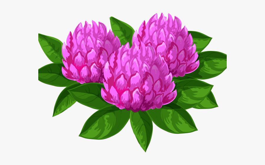 Wildflower Cliparts - Portable Network Graphics, Transparent Clipart