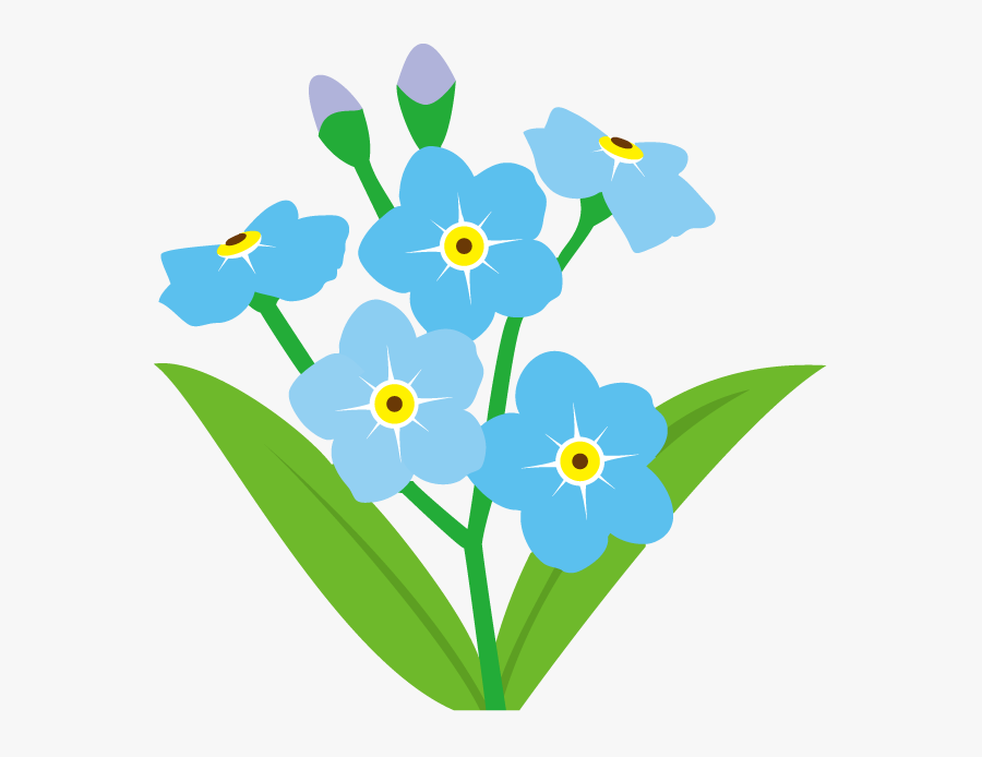 Forget Me Not Flower Clip Art, Transparent Clipart