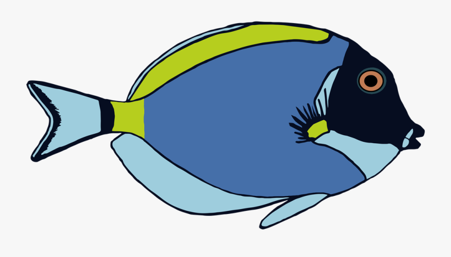 Tang Clipart - Powder Blue Surgeonfish Paint, Transparent Clipart