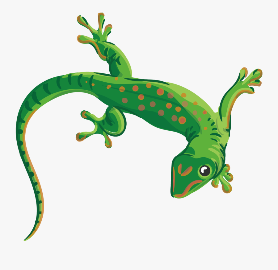 Collection Of Free Lizard Vector Reptile - Transparent Background Gecko Clipart, Transparent Clipart