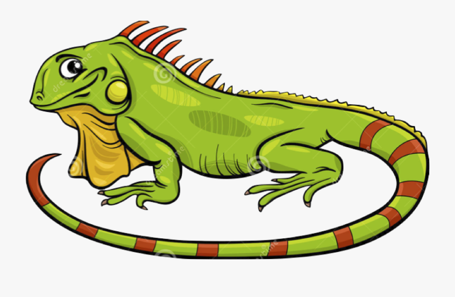 Clip Art Iguana Clipart - Iguana Cartoon, Transparent Clipart