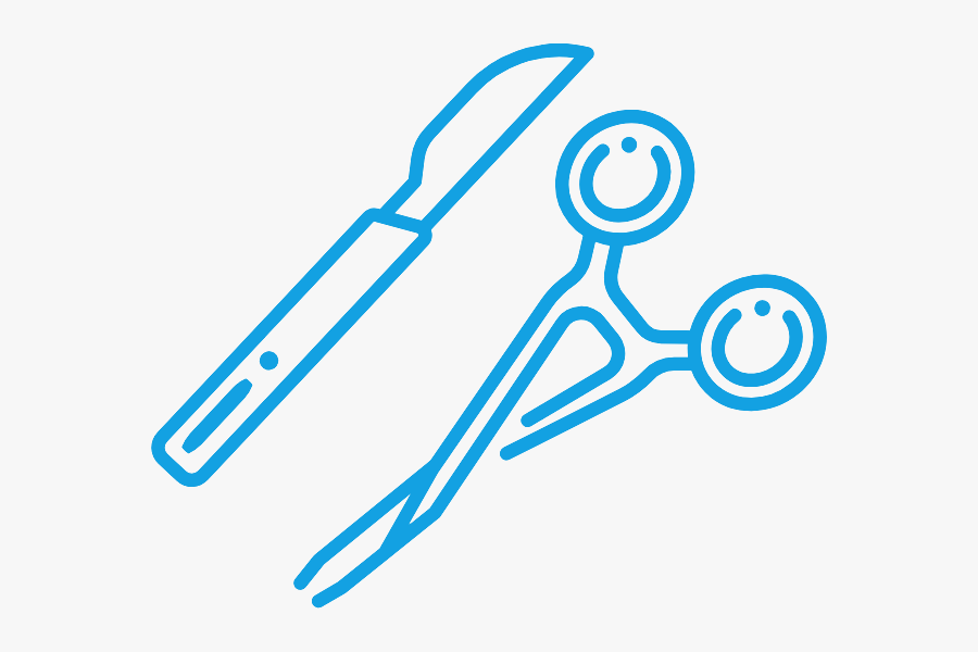 Circle, Transparent Clipart