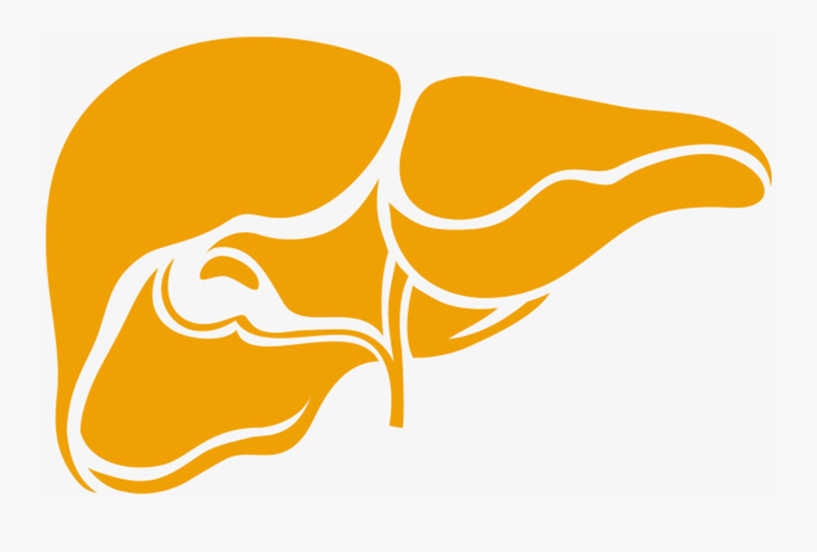 Hepatitis, Transparent Clipart