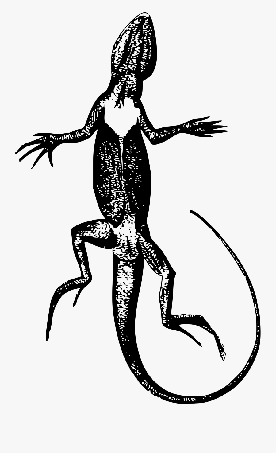Animal Lizard Reptile Transparent Png Images - Gambar Png Kadal, Transparent Clipart
