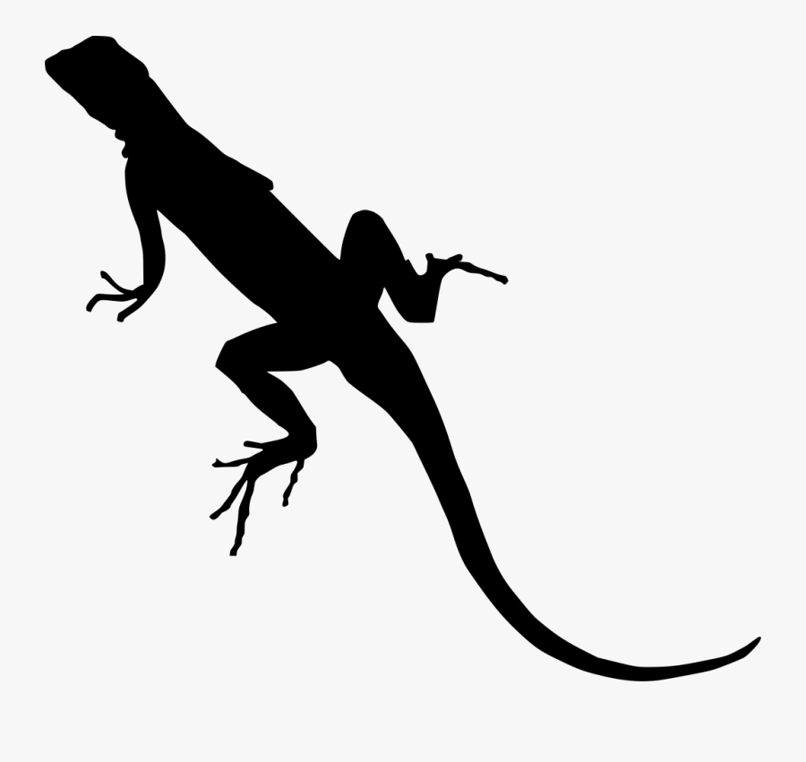 Transparent Reptile Png - Lizard Clipart, Transparent Clipart
