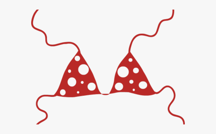 Bikini Clipart Clipart Transparent - Bikini Clipart Png, Transparent Clipart