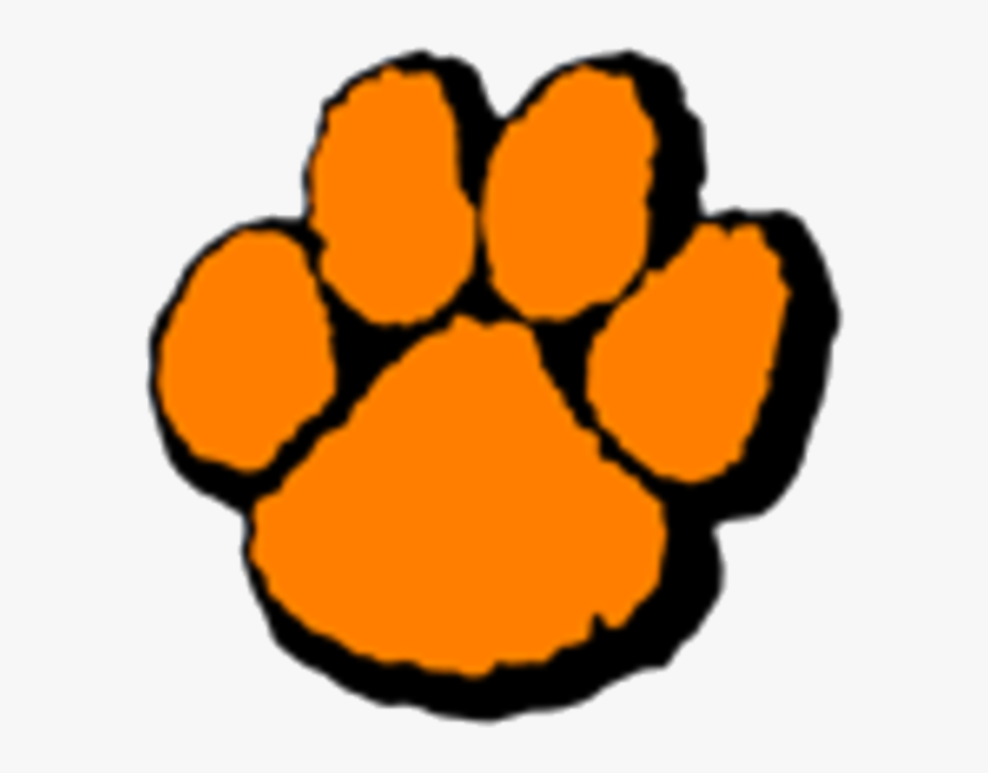 Tiger Print Clipart Wheaton Warrenville South - Chinle High School Wildcats, Transparent Clipart