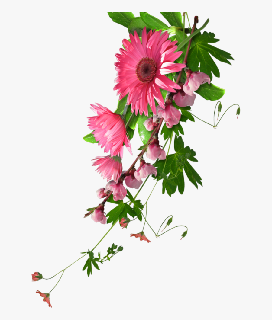 Mq Pink Flowers Flower Garden Nature - Real Flowers Transparent Background, Transparent Clipart