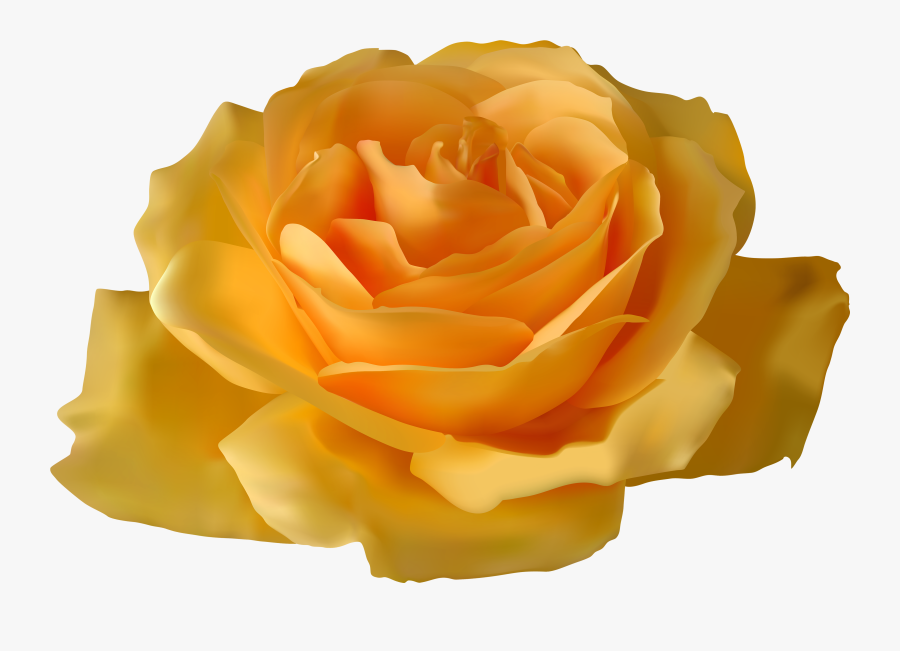 Yellow Rose Png Clipart, Transparent Clipart