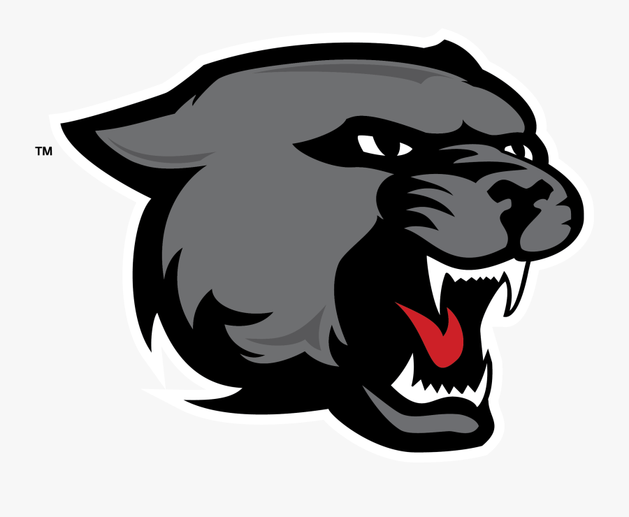 Spirit Files - Black Panther Animal Drawing, Transparent Clipart