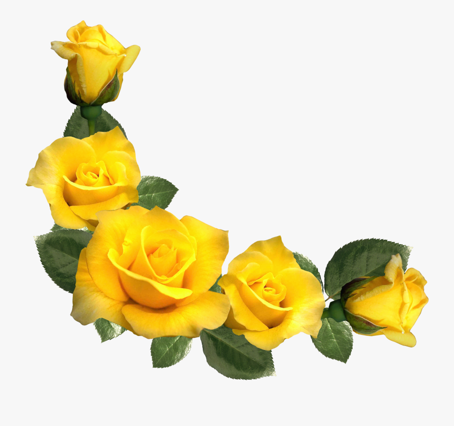 Yellow Rose Clipart - Border Yellow Flowers Png, Transparent Clipart