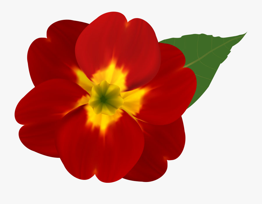 Pink Flower Clipart Red - Red And Yellow Flower Clipart, Transparent Clipart