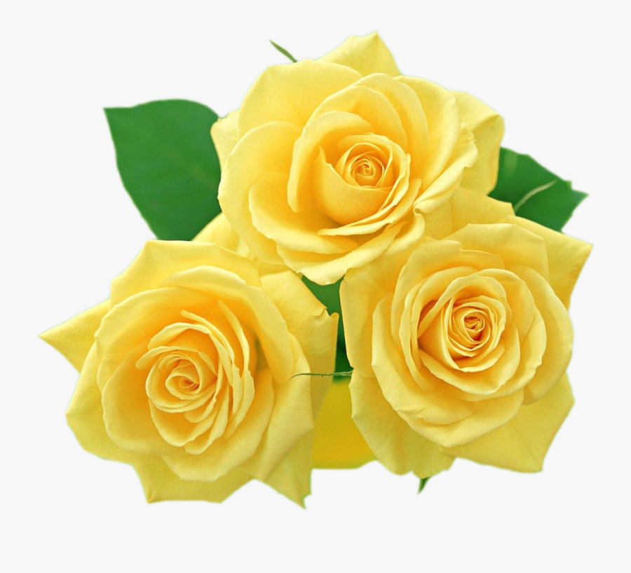 Yellow Flowers Png, Transparent Clipart