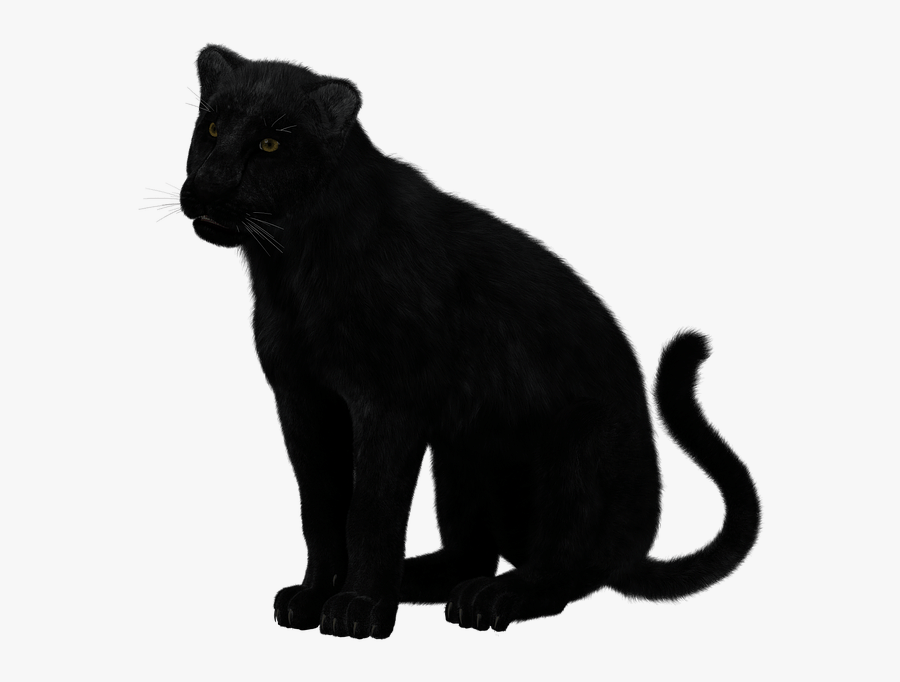 Black Panther Sitting - Transparent Black Panther Animal, Transparent Clipart