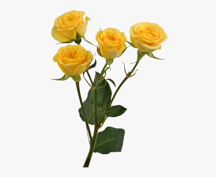 Transparent Flower Stems Clipart - Yellow Tumblr Aesthetic Png, Transparent Clipart