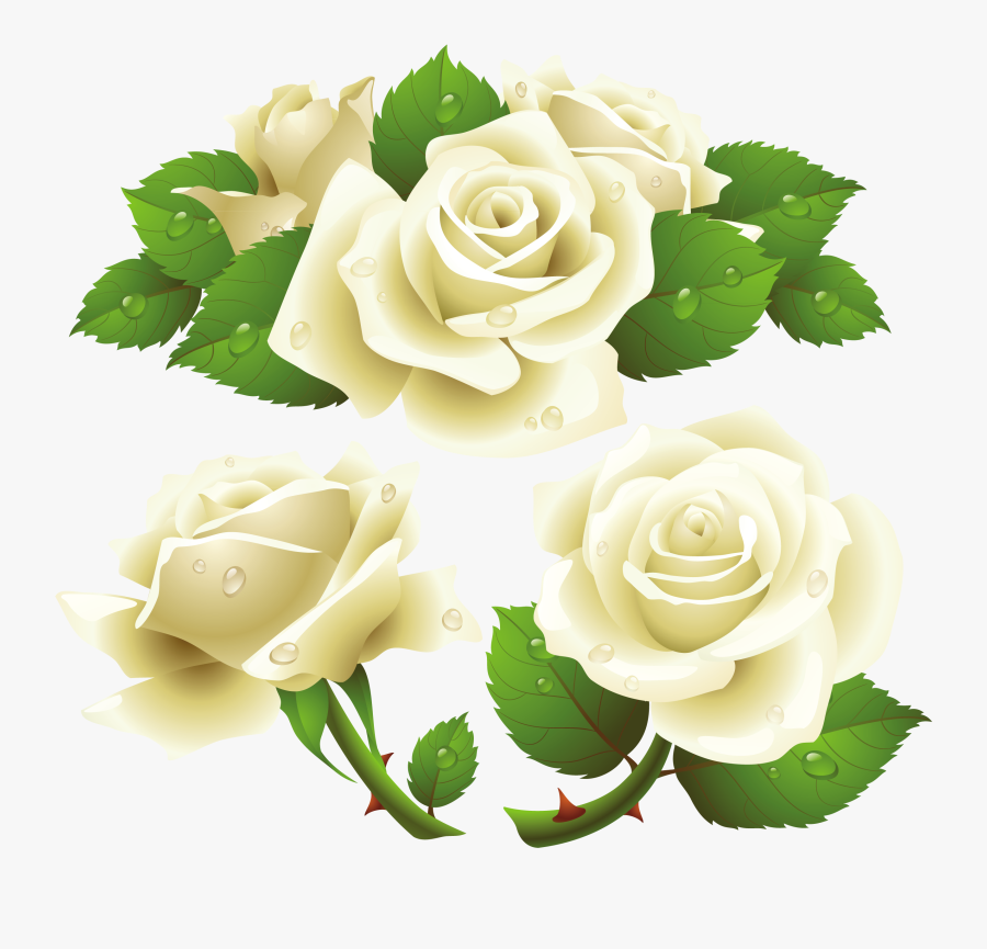 Rose Png White - Transparent Background White Rose Png, Transparent Clipart