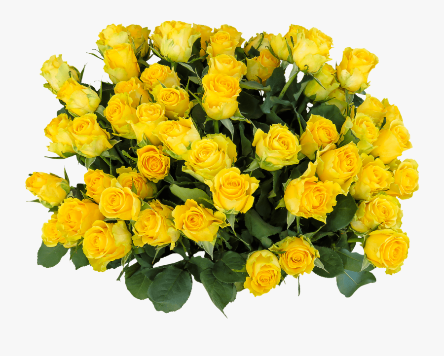 Transparent Chrysanthemum Clipart, Transparent Clipart