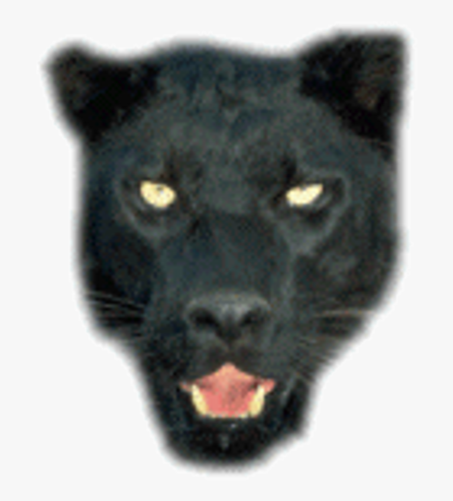 Black Panther, Transparent Clipart