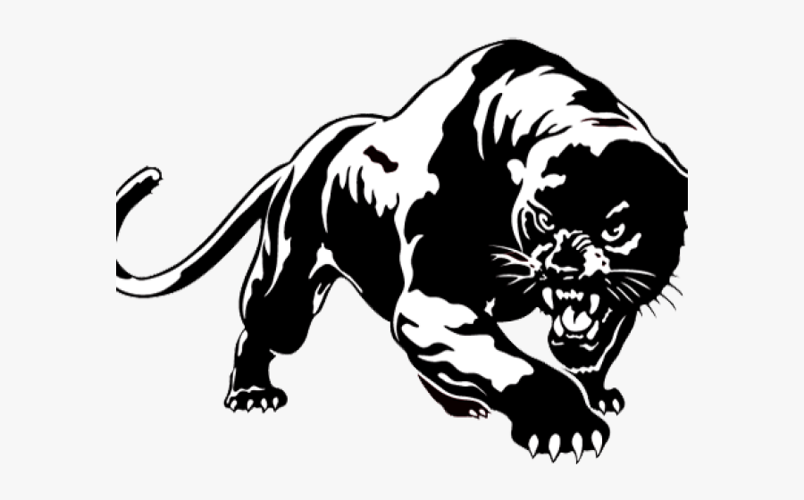 Black Panther Animal Drawing, Transparent Clipart