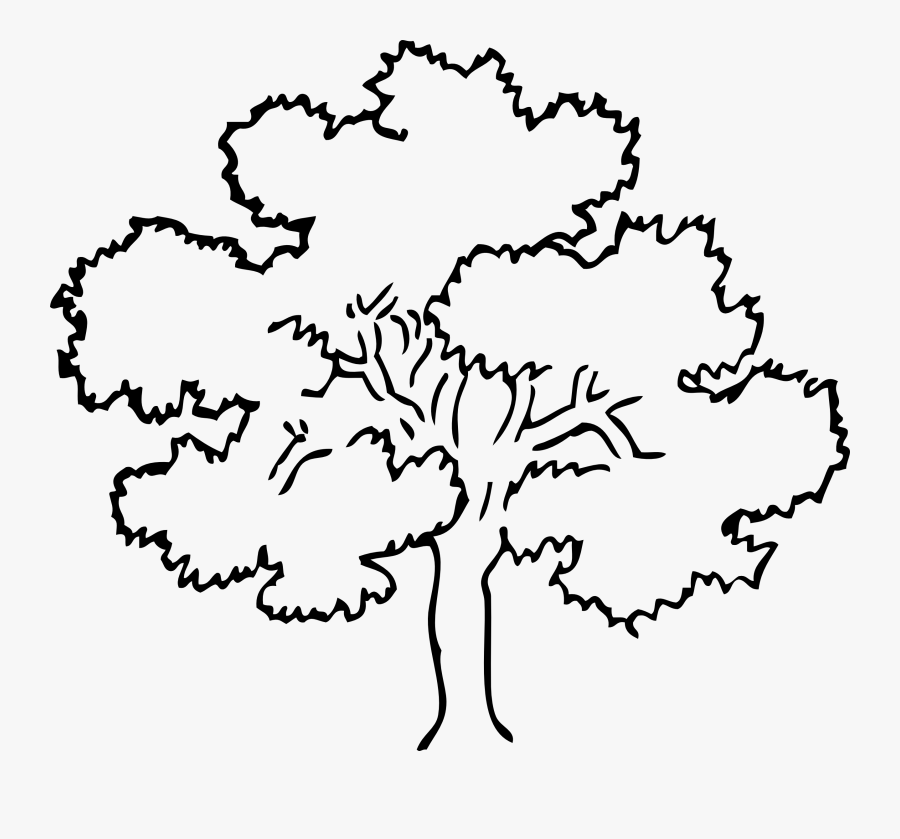 Outline Drawing Of Tree, Transparent Clipart
