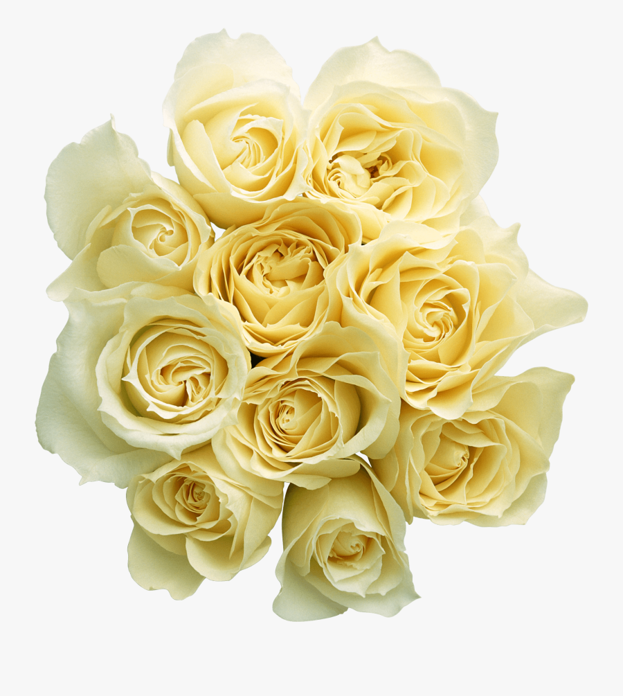 Transparent Bouquet Of Roses Png - Blue Rose Bouquet Transparent, Transparent Clipart