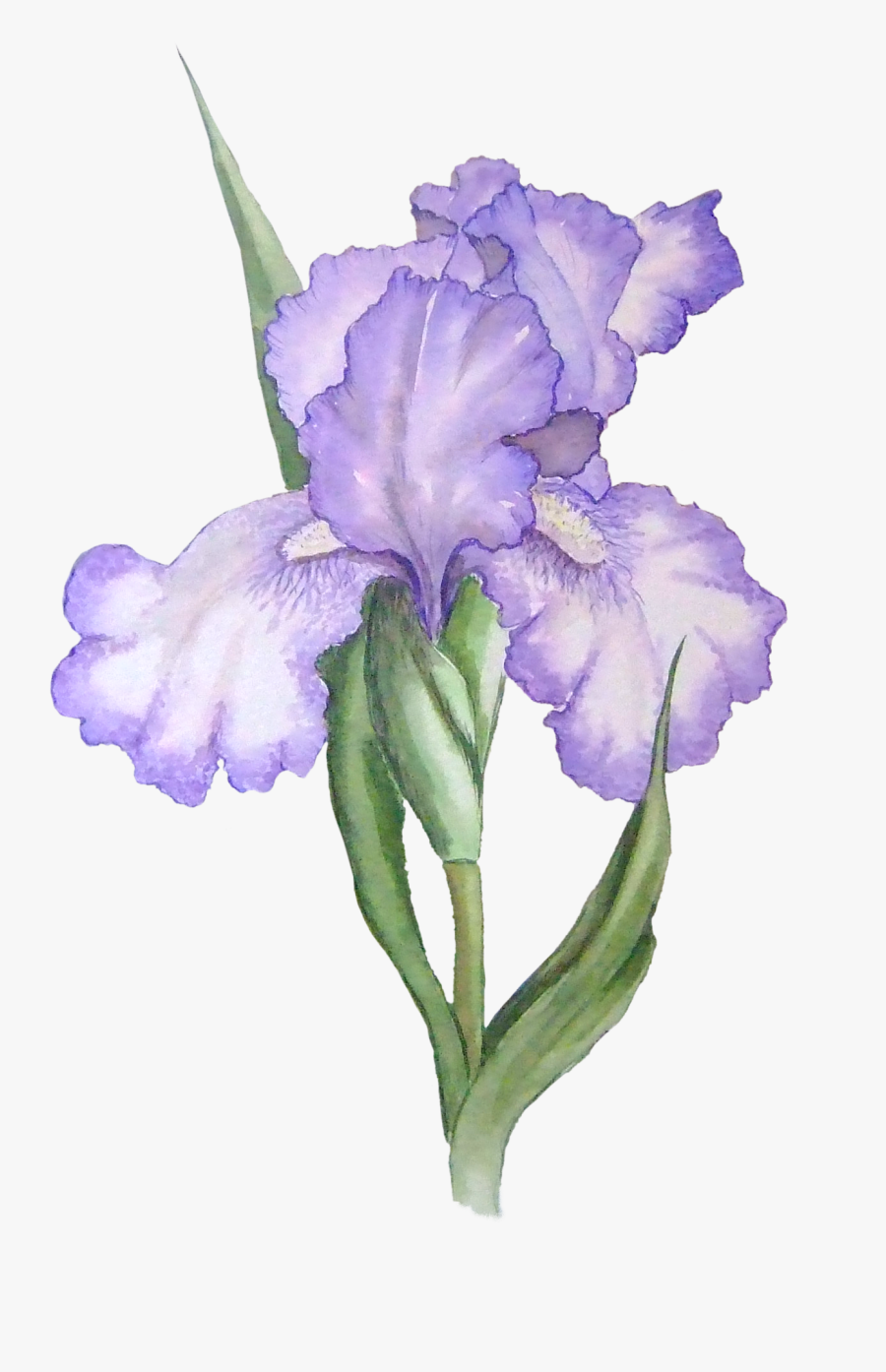Transparent Flower Clipart Png - Watercolor Purple Flower Transparent Background, Transparent Clipart