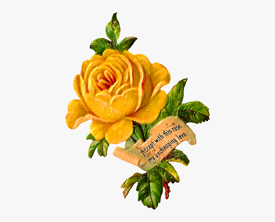 Stock Flower Image - Yellow Vintage Flower Png, Transparent Clipart