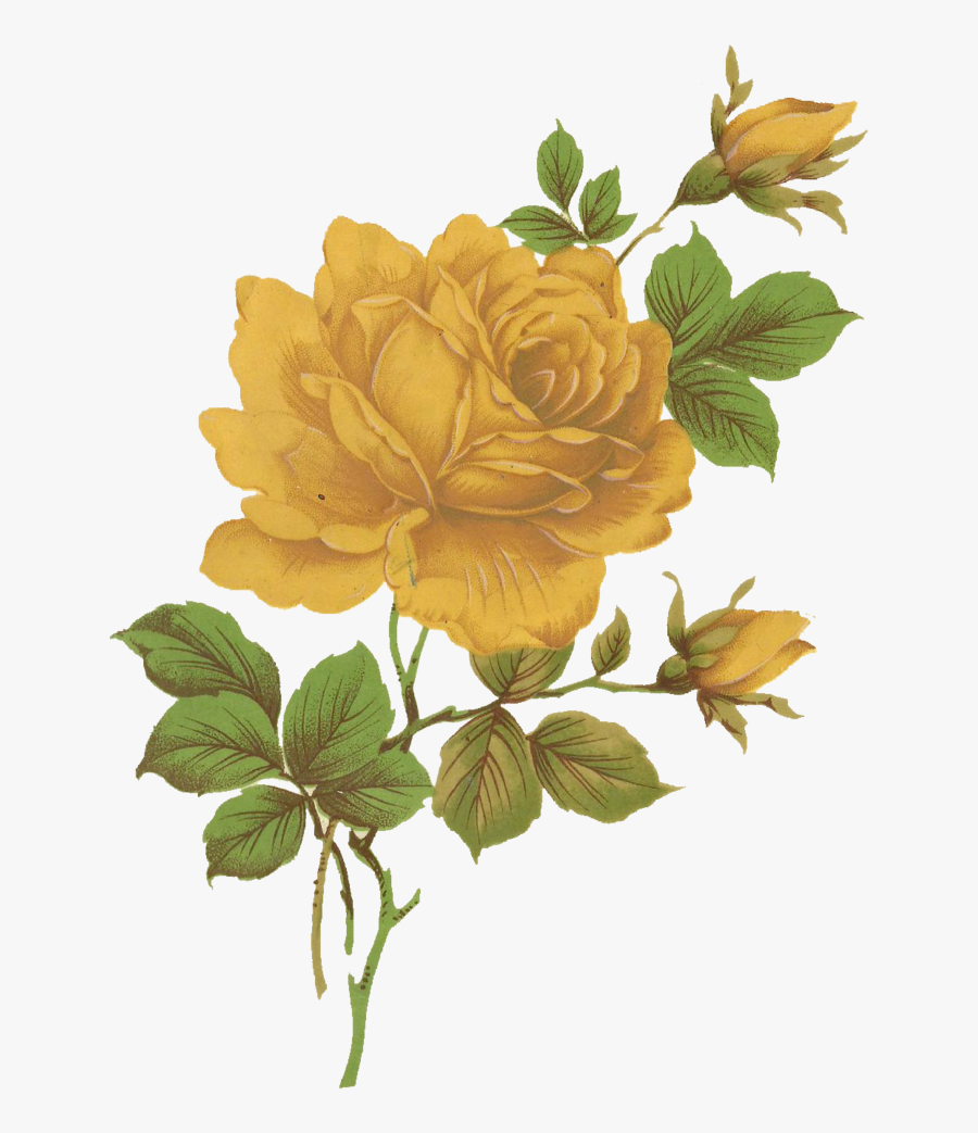 Yellow Floral Transparent, Transparent Clipart