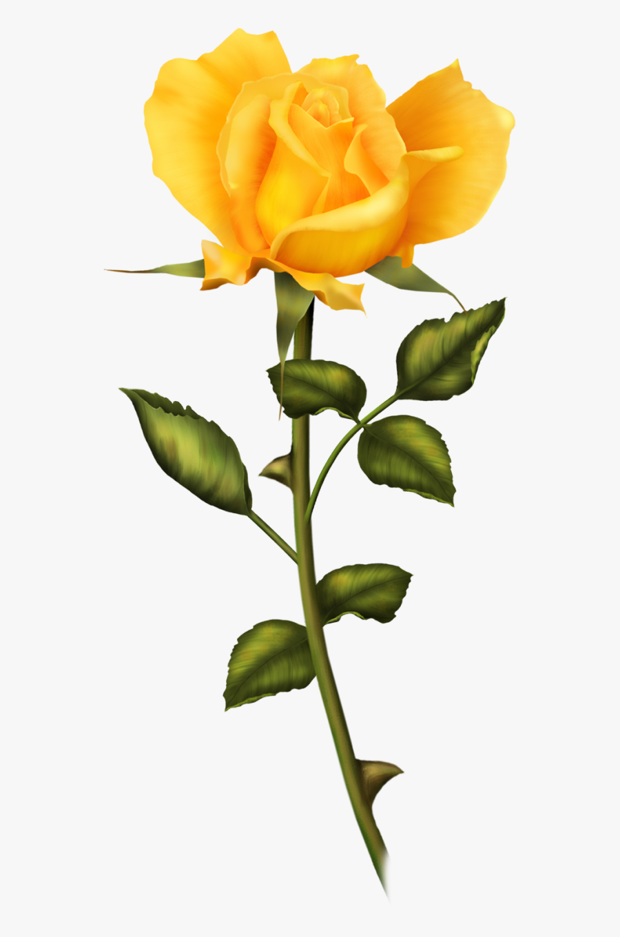 Tubes Png Fleurs Jaunes, Transparent Clipart