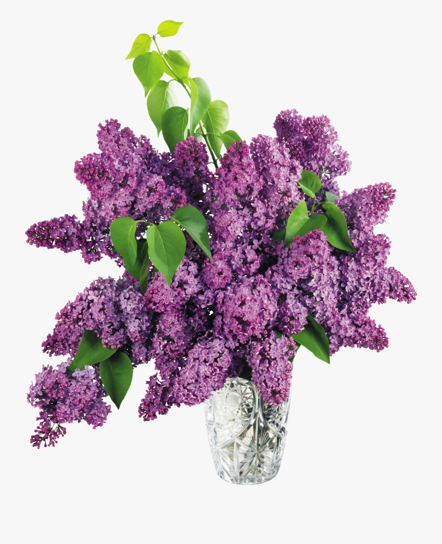 Vase Clipart Purple Flower, Transparent Clipart