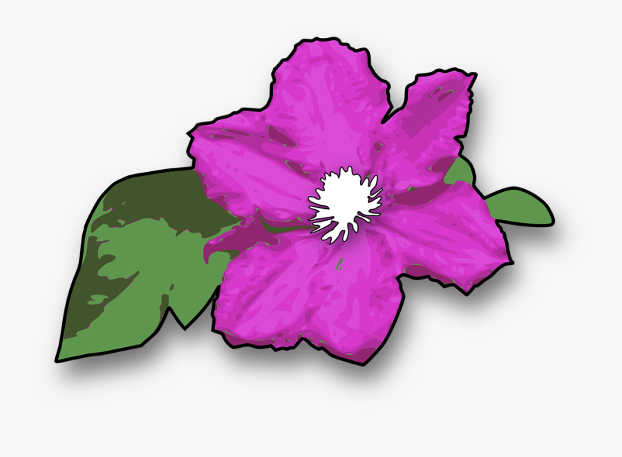 Flower, Purple, Violet, Green, Leaves, Plant, Floral - Jungle Flowers Clipart, Transparent Clipart