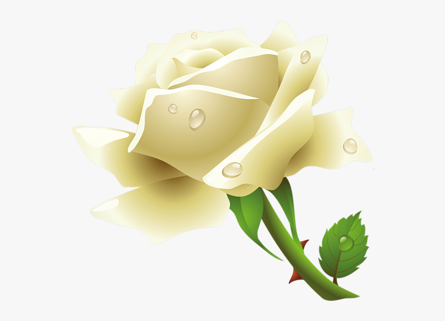 White Rose Clipart Png - White Roses Clip Art, Transparent Clipart