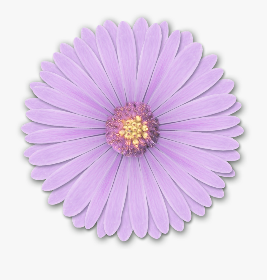Light Flower Desktop Wallpaper Purple - Flower Png For Edits, Transparent Clipart