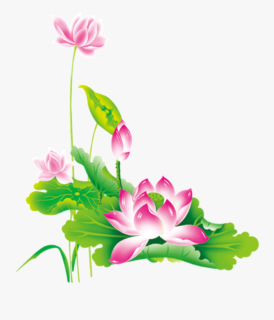 Chinese Flower Clipart - ดอกบัว Png, Transparent Clipart