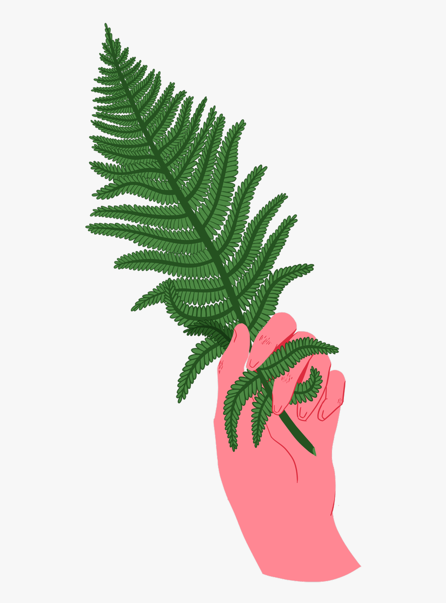 Alaina Isabel 👽🍍 On Twitter - Illustration, Transparent Clipart