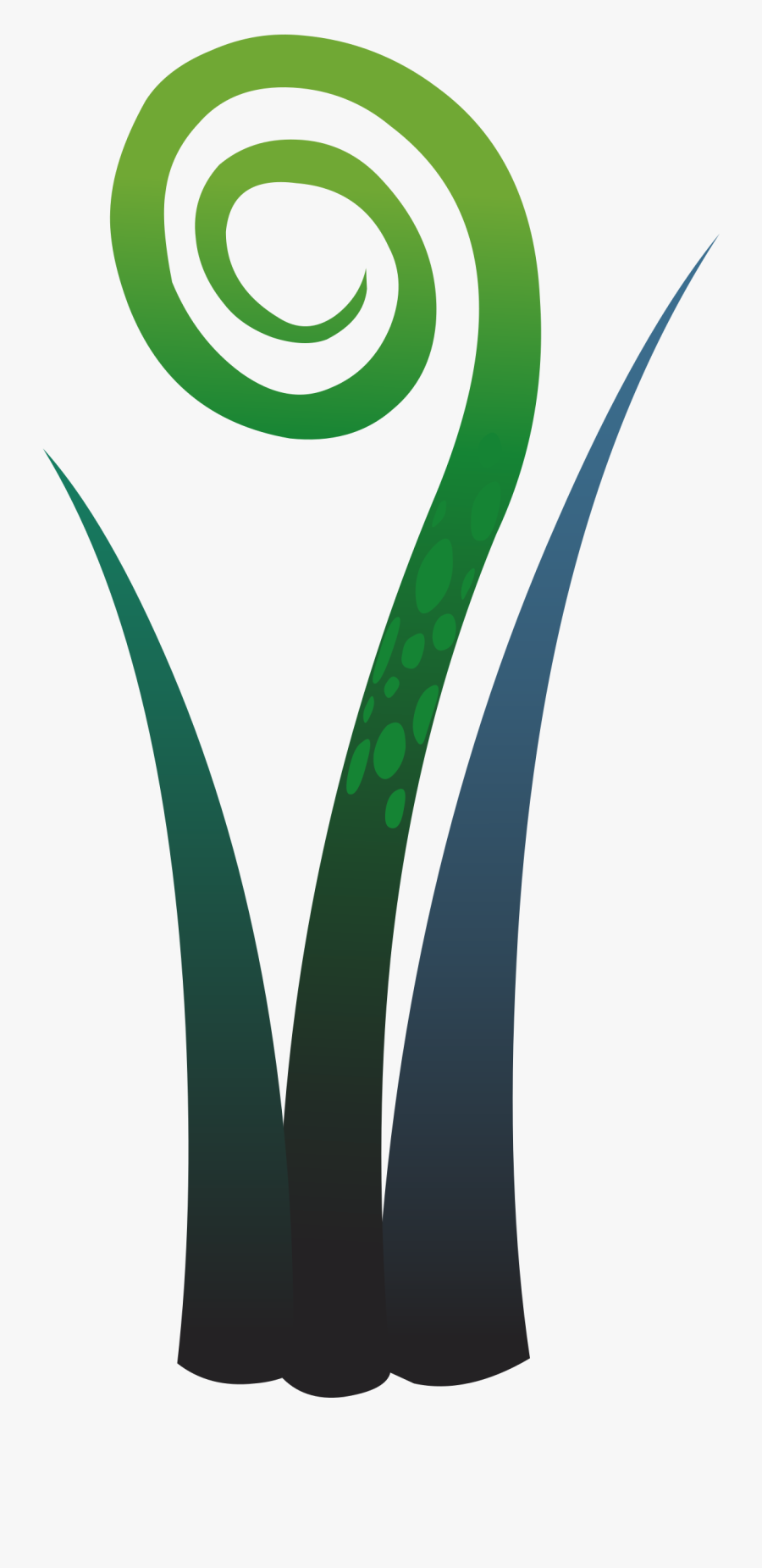 Ilmenskie Plant Fern 3 Clip Arts, Transparent Clipart