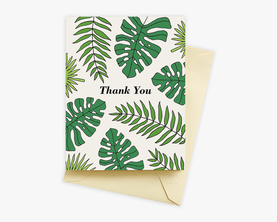 Ostrich Fern, Transparent Clipart
