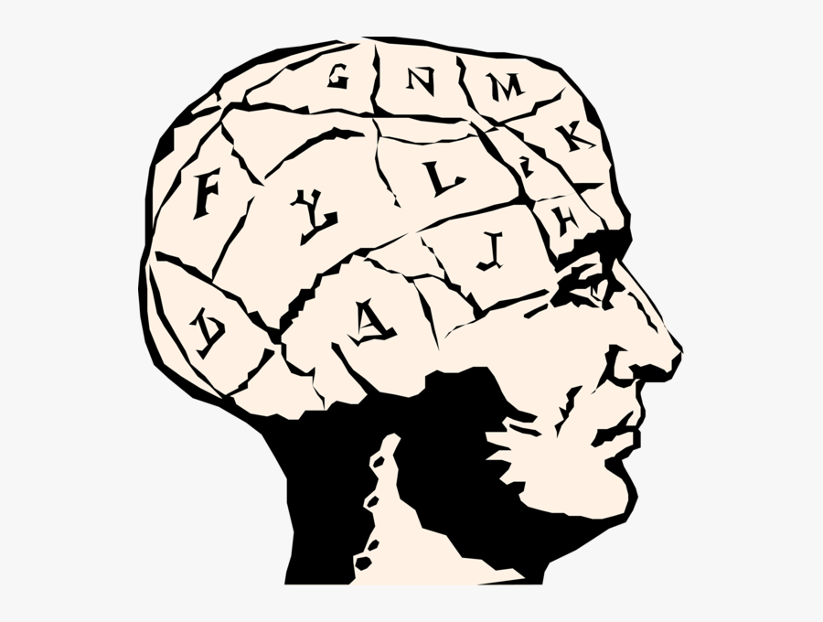 Transparent Mind Png - Brain Clipart, Transparent Clipart