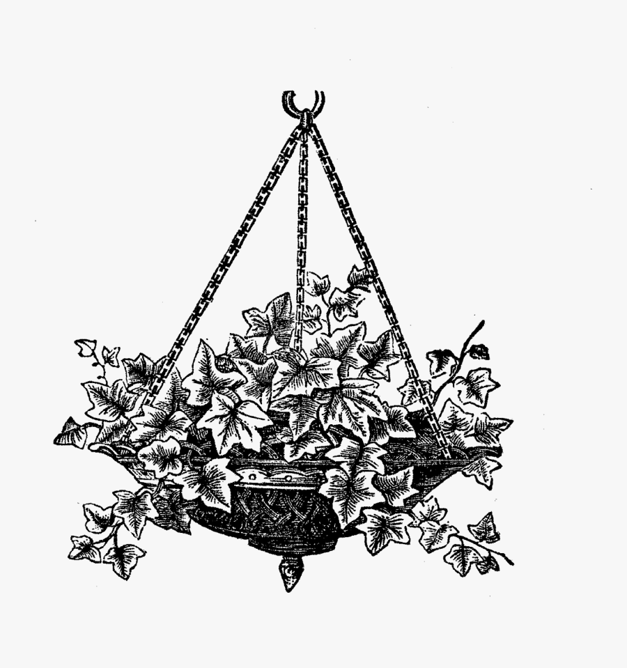 This Is A Wonderfully Detailed Digital Image Transfer - Chandelier, Transparent Clipart