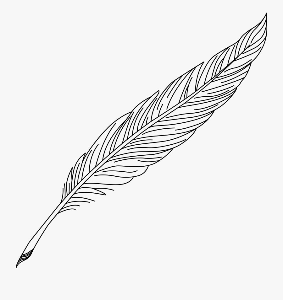 Quill Clipart - Clipart Transparent Background Feather Pen, Transparent Clipart