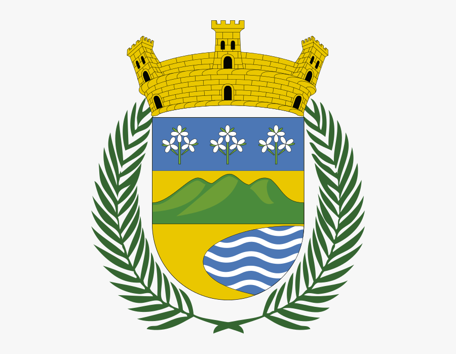 Transparent Bandera De Puerto Rico Png - Ajuntament De La Llagosta, Transparent Clipart