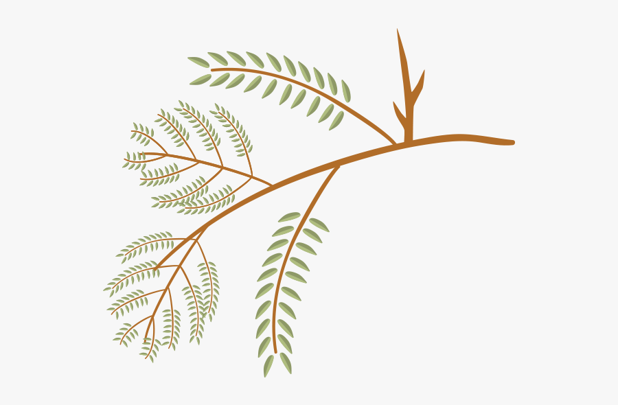 International Year Of Forests 2011, Transparent Clipart