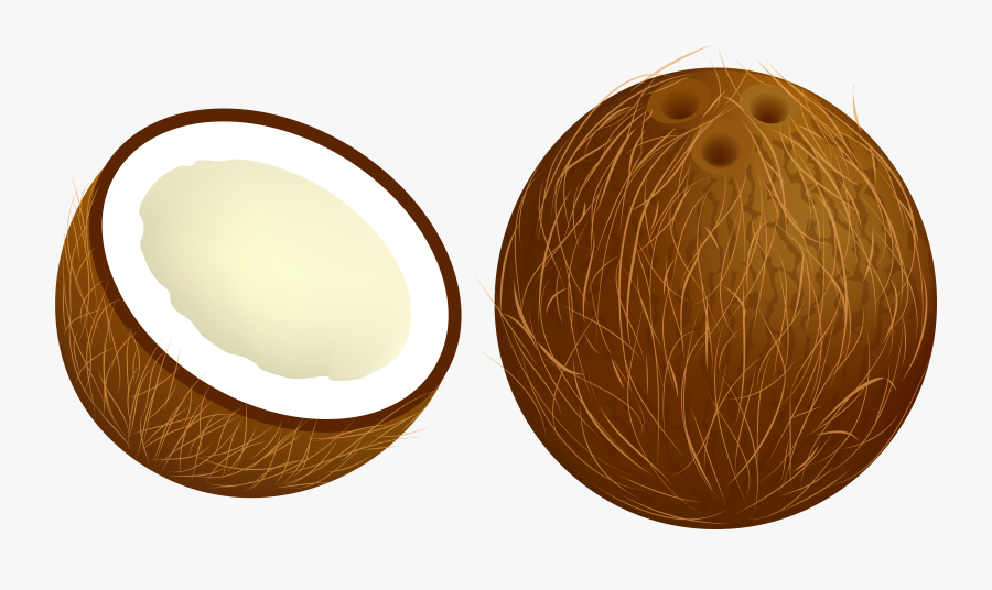 For Developers Coconut Clipart - Coconuts Clipart, Transparent Clipart