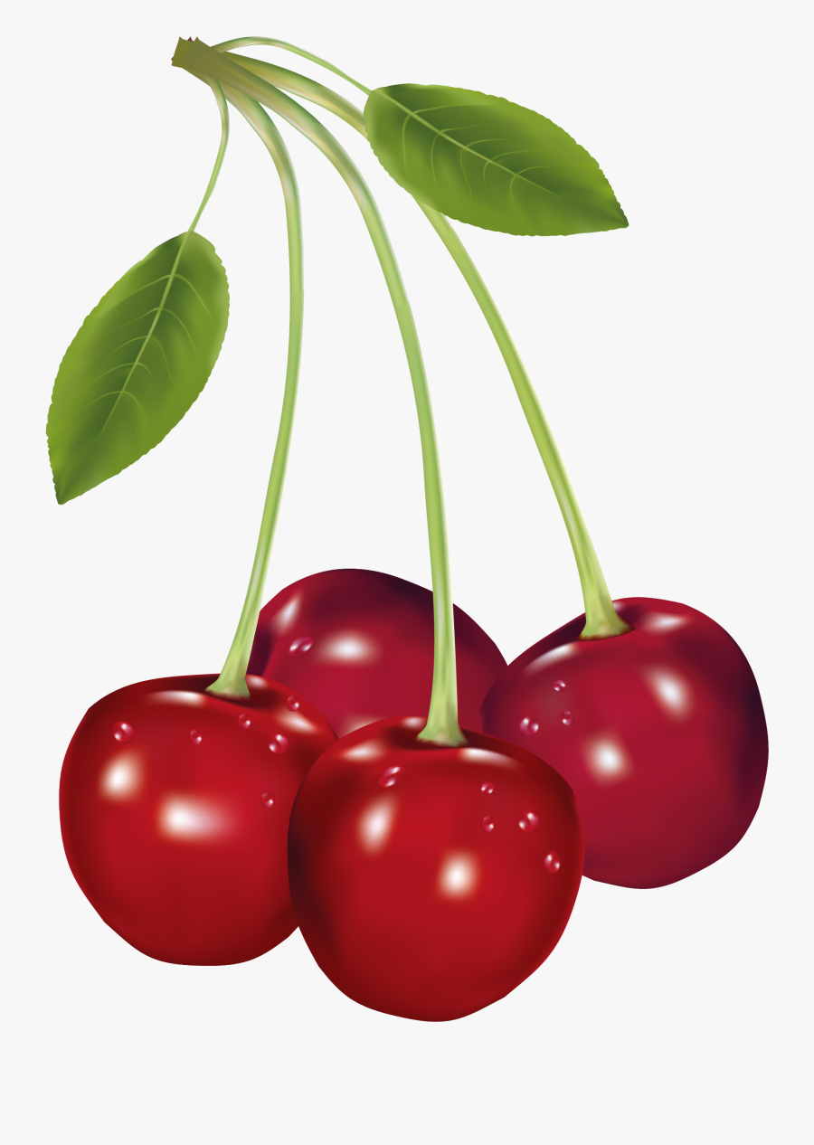 Cherries Png Clipart Picture - Cherry Fruit Clipart, Transparent Clipart