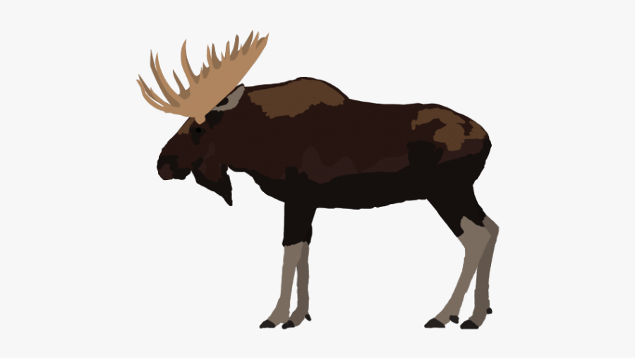 Alaska Moose Illustration, Transparent Clipart