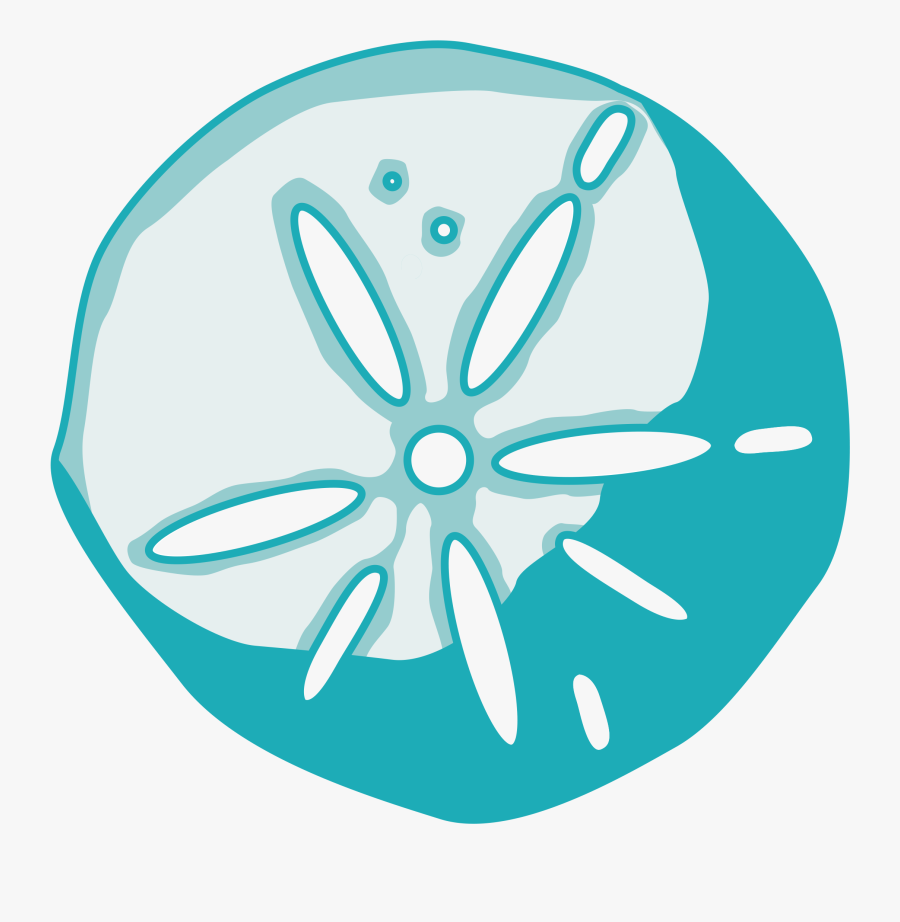 Transparent Sand Dollar Png - Church Of England Reader, Transparent Clipart