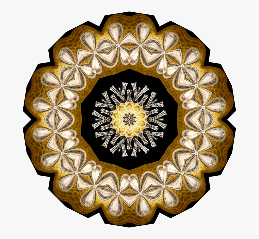Transparent Sand Dollar Png - Circle, Transparent Clipart