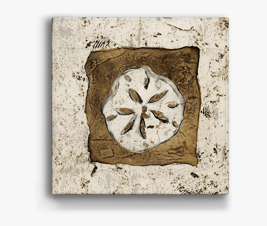 Sand Dollar Box Art - Motif, Transparent Clipart