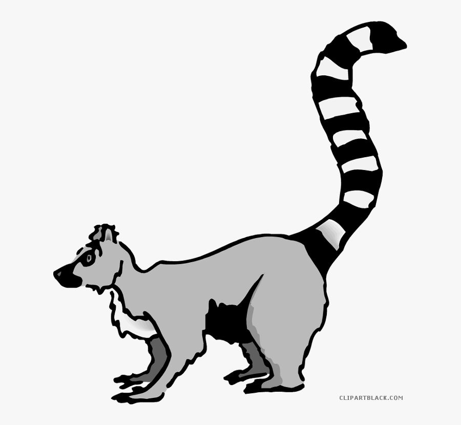 Lemur Animal Free Black White Clipart Images Clipartblack - Lemur Clipart, Transparent Clipart